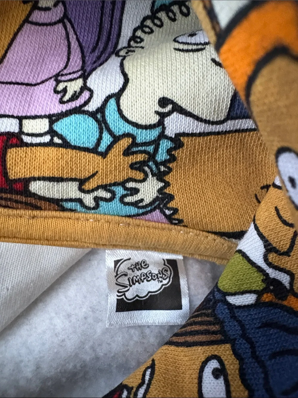 H&M Kids Hoodie Springfield Elementary Multicolor Cartoon Print